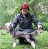 Китайская хохлатая собака.